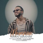 دانلود آهنگ جدید آرین ابراهیمی ممنون